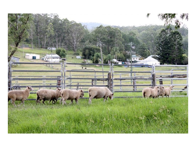 77 Sandilands Street, Bonalbo NSW 2469