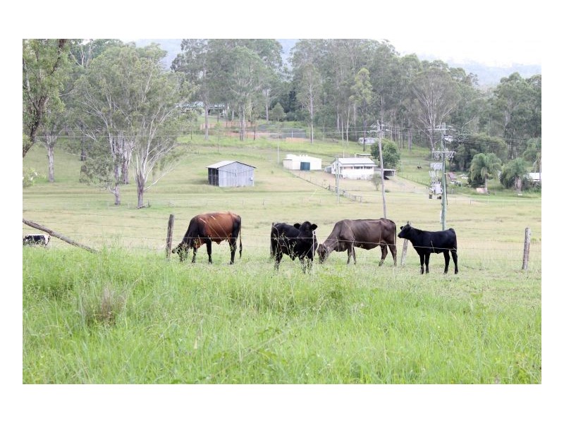 77 Sandilands Street, Bonalbo NSW 2469