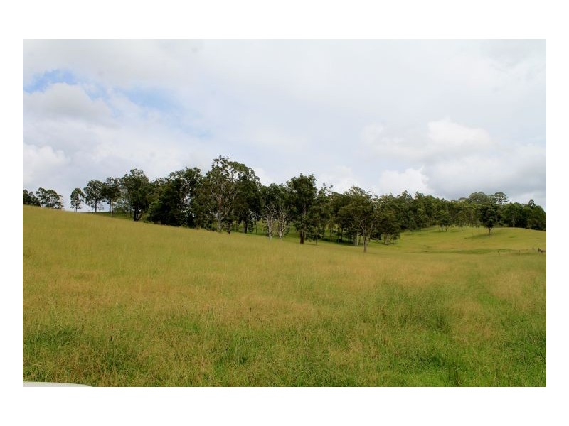 77 Sandilands Street, Bonalbo NSW 2469