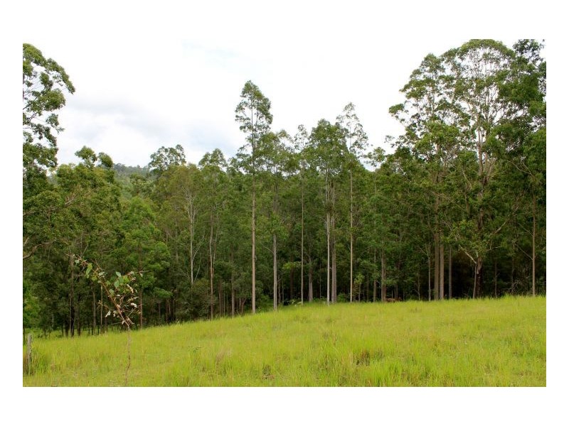 77 Sandilands Street, Bonalbo NSW 2469