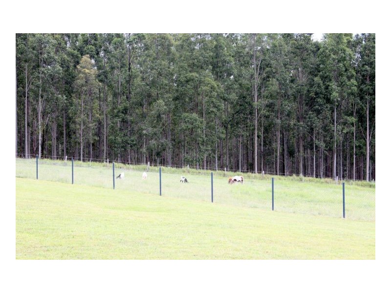 2 Old Lawrence Road, Mallanganee NSW 2469