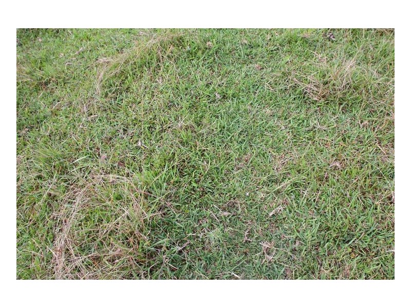 730 Reardons Lane, Woodburn NSW 2472