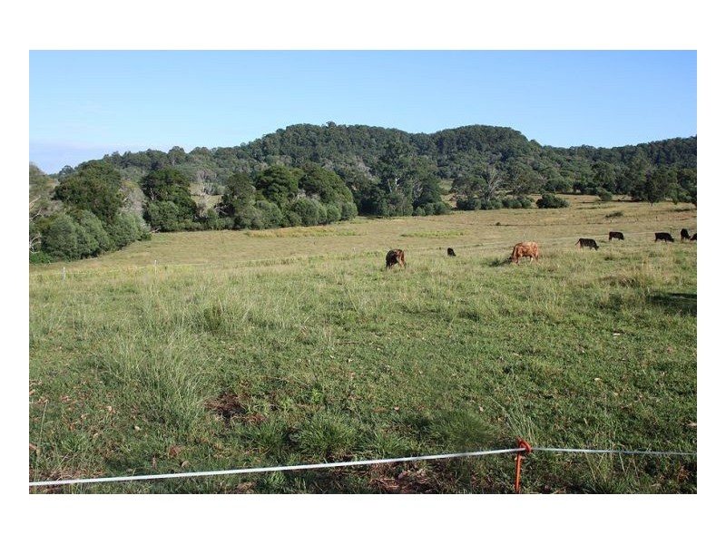 730 Reardons Lane, Woodburn NSW 2472