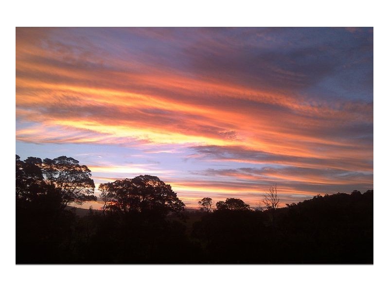 730 Reardons Lane, Woodburn NSW 2472