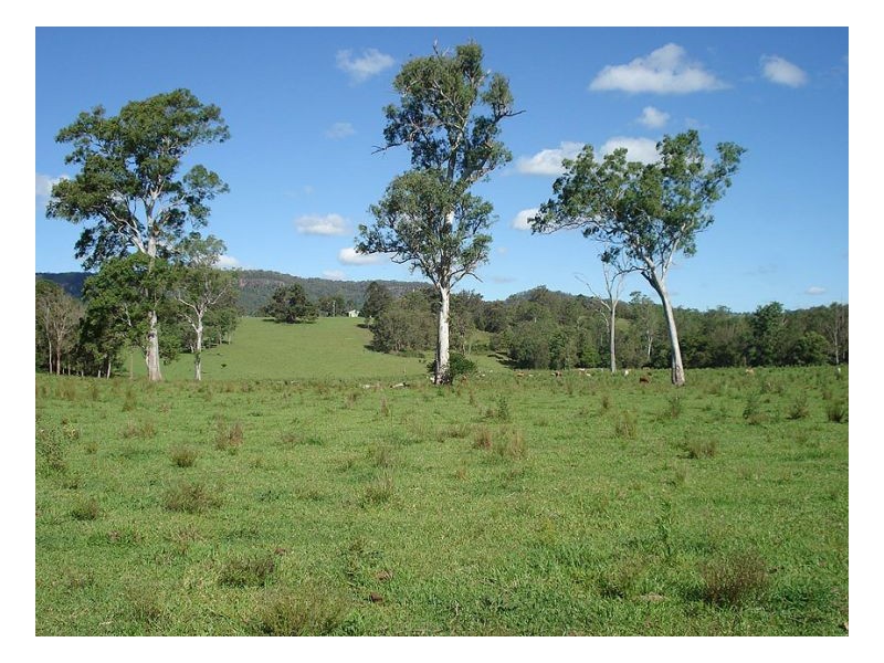 193 Faraway Road, Cawongla NSW 2474