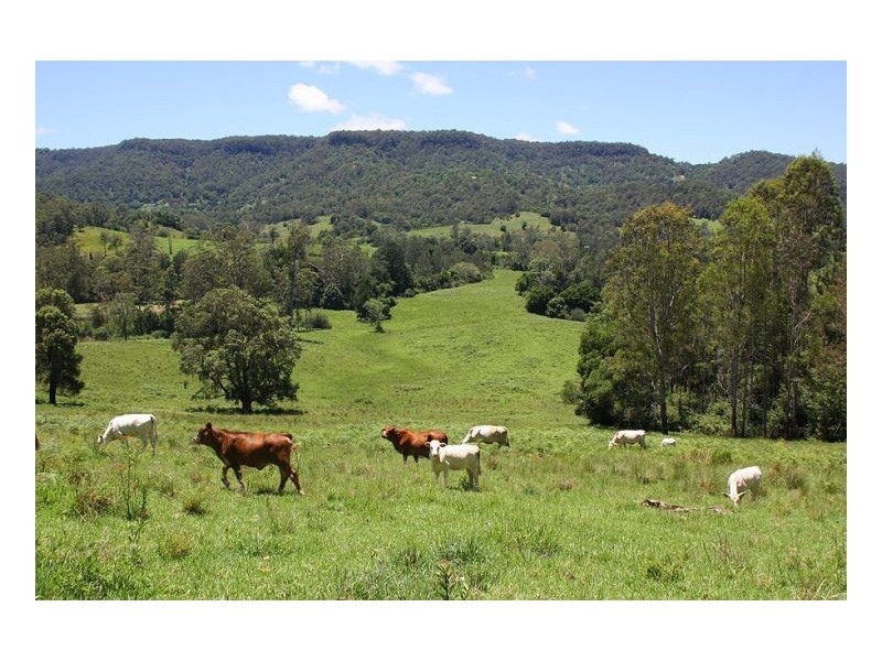 193 Faraway Road, Cawongla NSW 2474