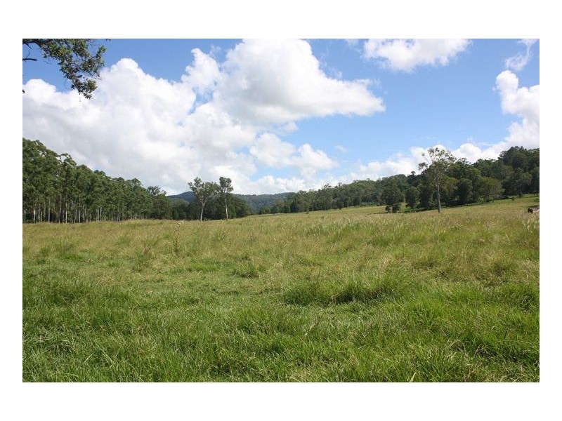 193 Faraway Road, Cawongla NSW 2474