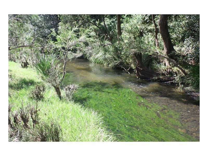 193 Faraway Road, Cawongla NSW 2474