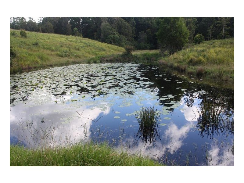 193 Faraway Road, Cawongla NSW 2474