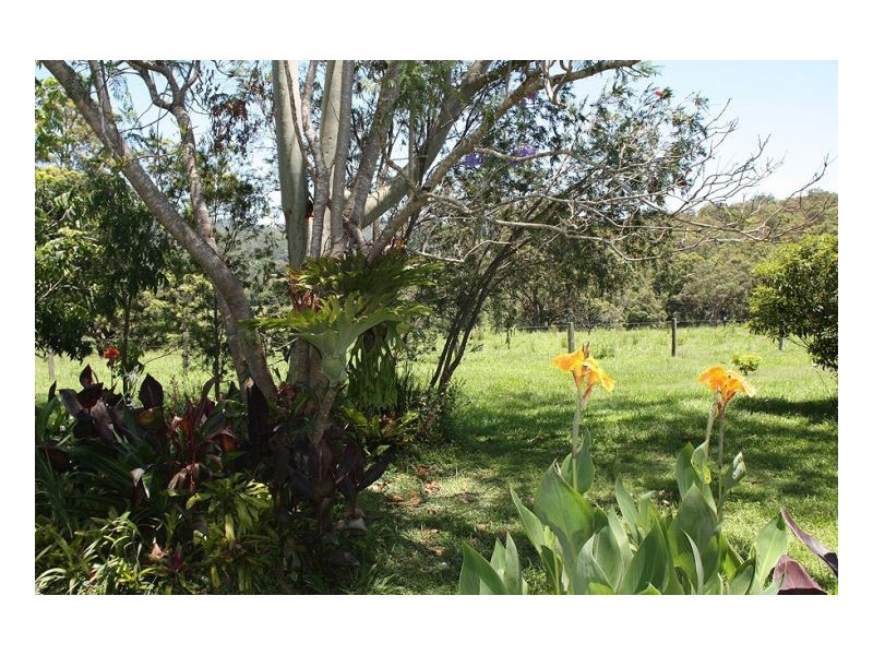 193 Faraway Road, Cawongla NSW 2474