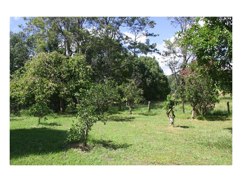 193 Faraway Road, Cawongla NSW 2474