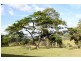 66 Omagh Road, Kyogle NSW 2474