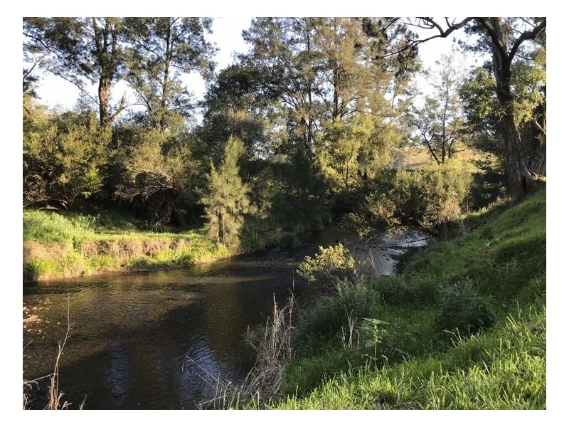 602 Grady Creek Road, Kyogle NSW 2474