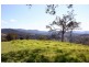 602 Grady Creek Road, Kyogle NSW 2474