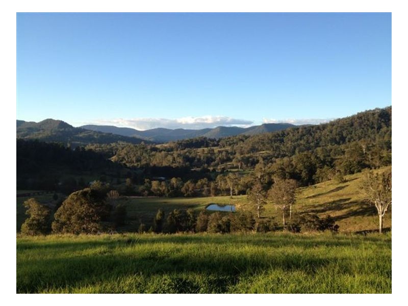 602 Grady Creek Road, Kyogle NSW 2474