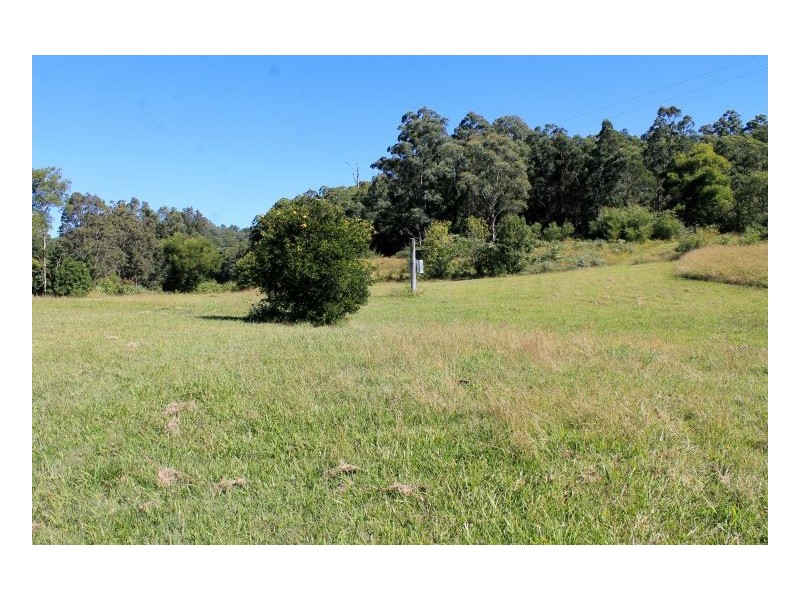 2119 Afterlee Road, Kyogle NSW 2474