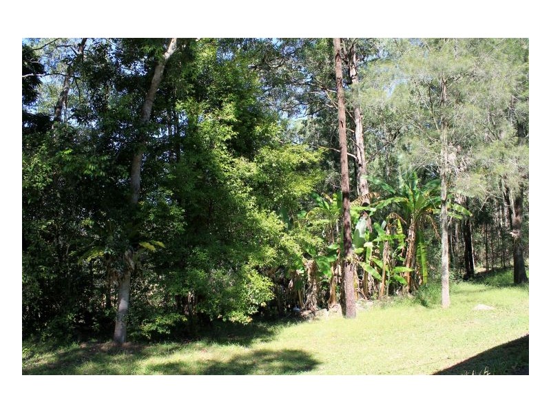 2119 Afterlee Road, Kyogle NSW 2474