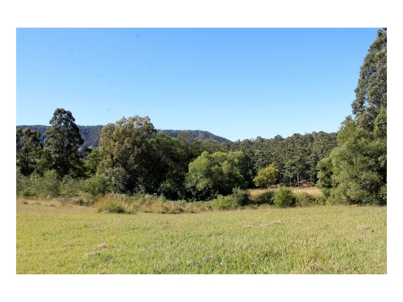 2119 Afterlee Road, Kyogle NSW 2474