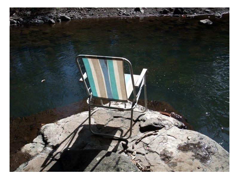 1262 Lynches Creek Road Lynches Creek, Kyogle NSW 2474