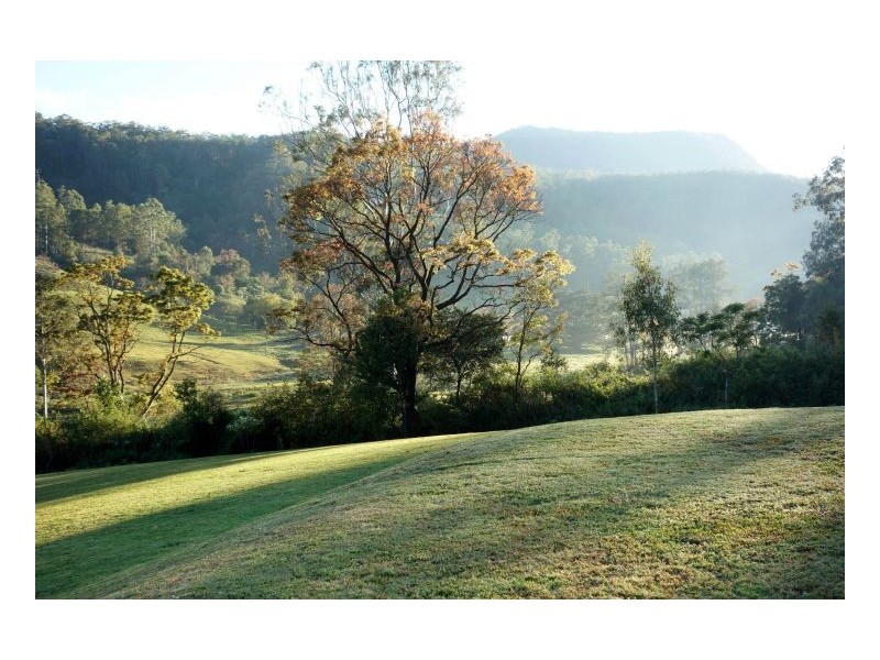1262 Lynches Creek Road Lynches Creek, Kyogle NSW 2474