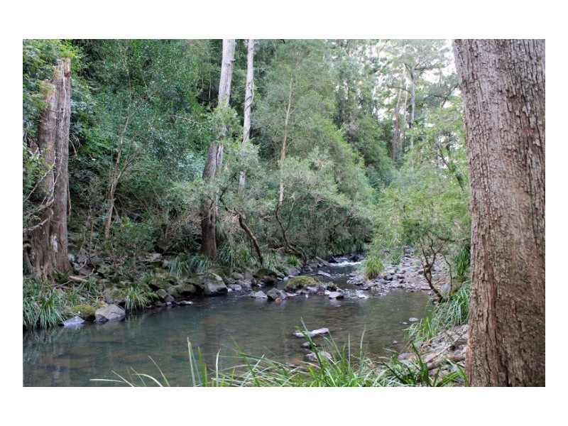 118 Williams Road, Cawongla, Kyogle NSW 2474