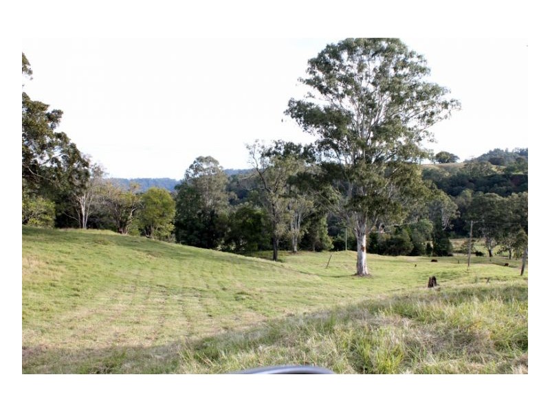 118 Williams Road, Cawongla, Kyogle NSW 2474