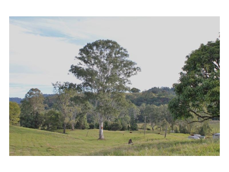 118 Williams Road, Cawongla, Kyogle NSW 2474
