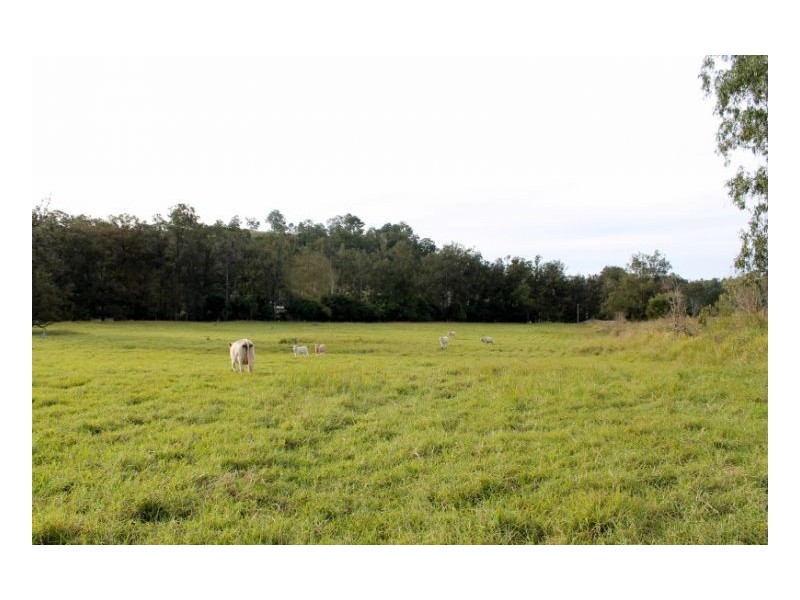 118 Williams Road, Cawongla, Kyogle NSW 2474