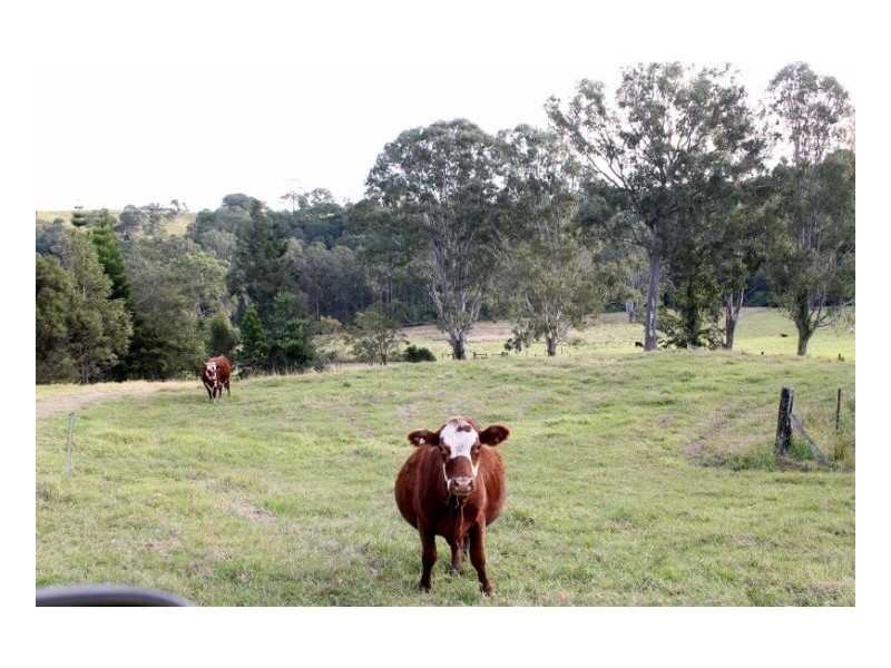 118 Williams Road, Cawongla, Kyogle NSW 2474