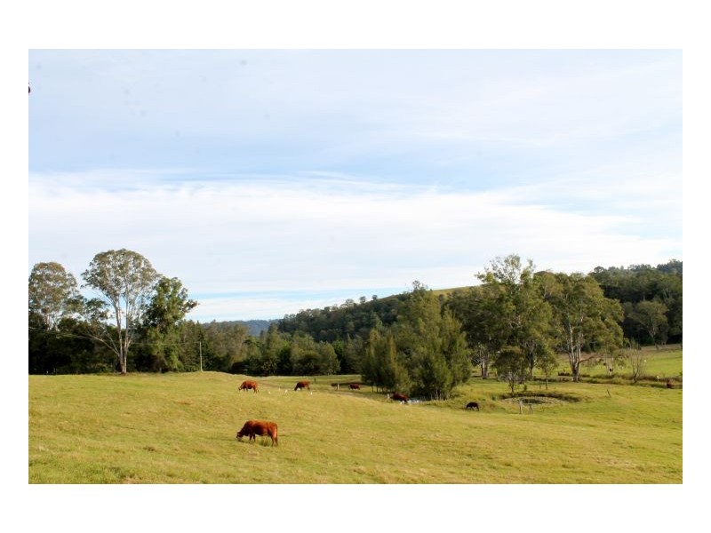 118 Williams Road, Cawongla, Kyogle NSW 2474