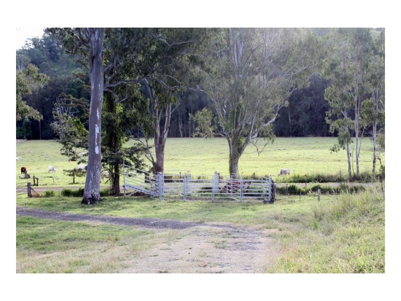 118 Williams Road, Cawongla, Kyogle NSW 2474