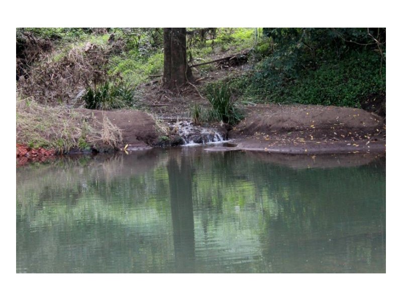 118 Williams Road, Cawongla, Kyogle NSW 2474