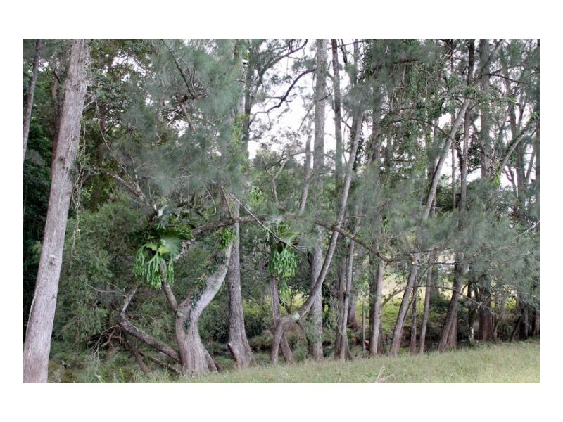 118 Williams Road, Cawongla, Kyogle NSW 2474