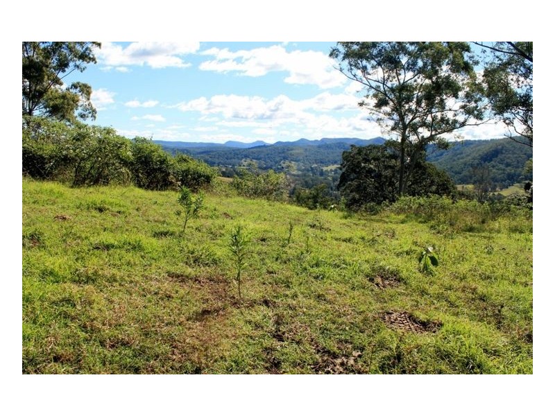 1735 Afterlee Road – Afterlee, Kyogle NSW 2474