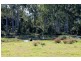 1735 Afterlee Road – Afterlee, Kyogle NSW 2474