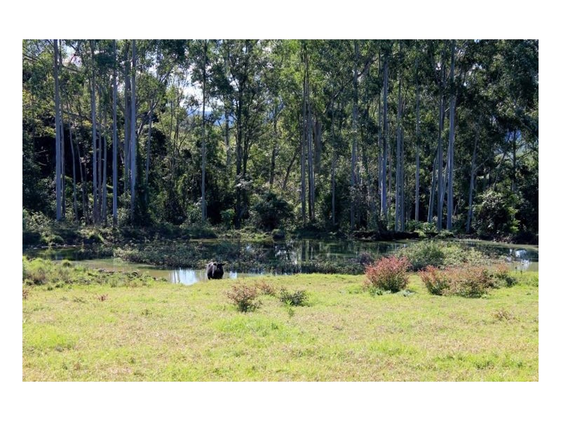 1735 Afterlee Road – Afterlee, Kyogle NSW 2474