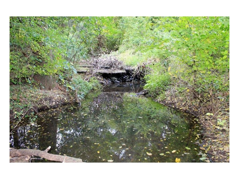 135 Horseshoe Creek Road, Kyogle NSW 2474