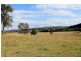 47 Afterlee Road, Kyogle NSW 2474