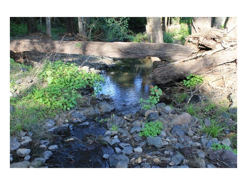 Lot 5 Blackhorse Creek Road, Kyogle NSW 2474