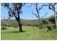 Lot 5 Blackhorse Creek Road, Kyogle NSW 2474