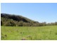 Lot 5 Blackhorse Creek Road, Kyogle NSW 2474