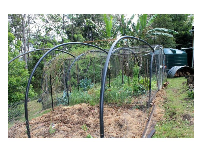 132 Stringybark Lane Toonumbar, Kyogle NSW 2474