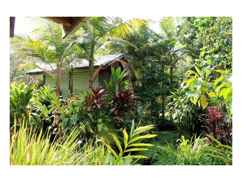 132 Stringybark Lane Toonumbar, Kyogle NSW 2474