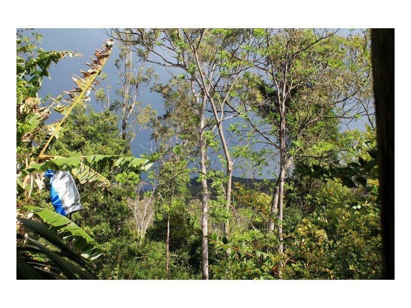 132 Stringybark Lane Toonumbar, Kyogle NSW 2474