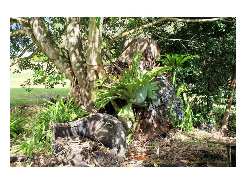 132 Stringybark Lane Toonumbar, Kyogle NSW 2474