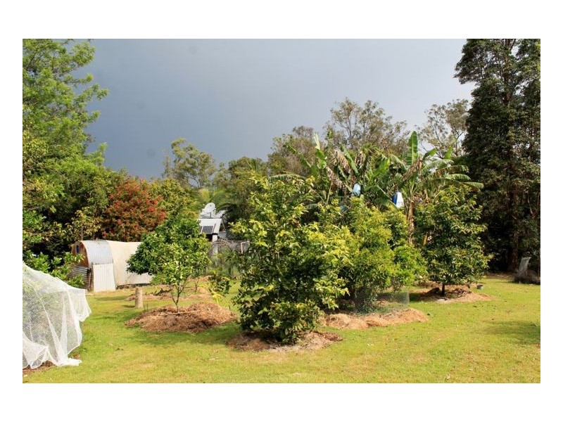 132 Stringybark Lane Toonumbar, Kyogle NSW 2474