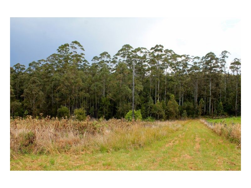 132 Stringybark Lane Toonumbar, Kyogle NSW 2474