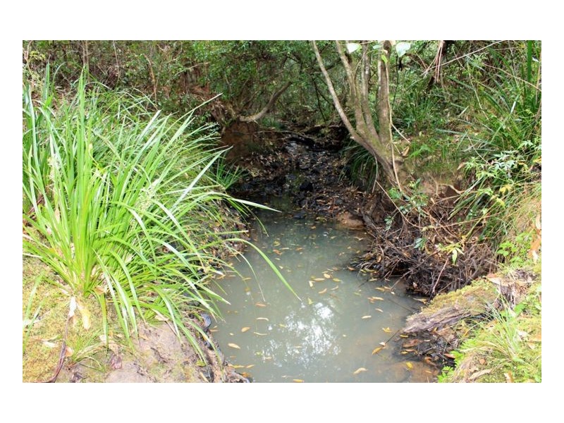 132 Stringybark Lane Toonumbar, Kyogle NSW 2474