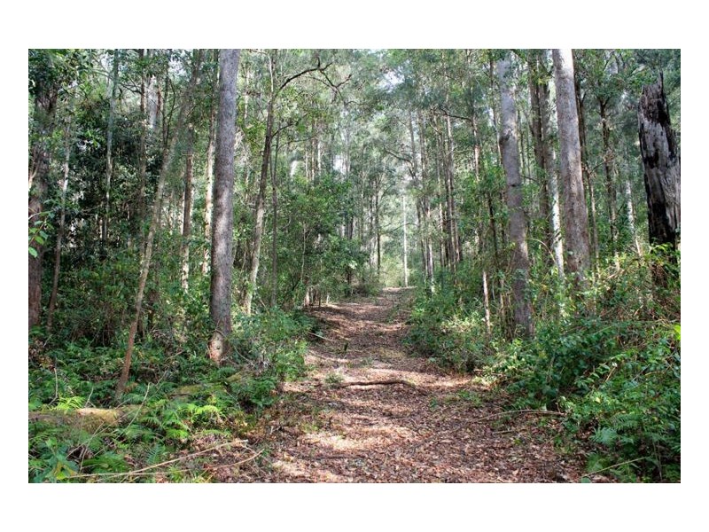 132 Stringybark Lane Toonumbar, Kyogle NSW 2474