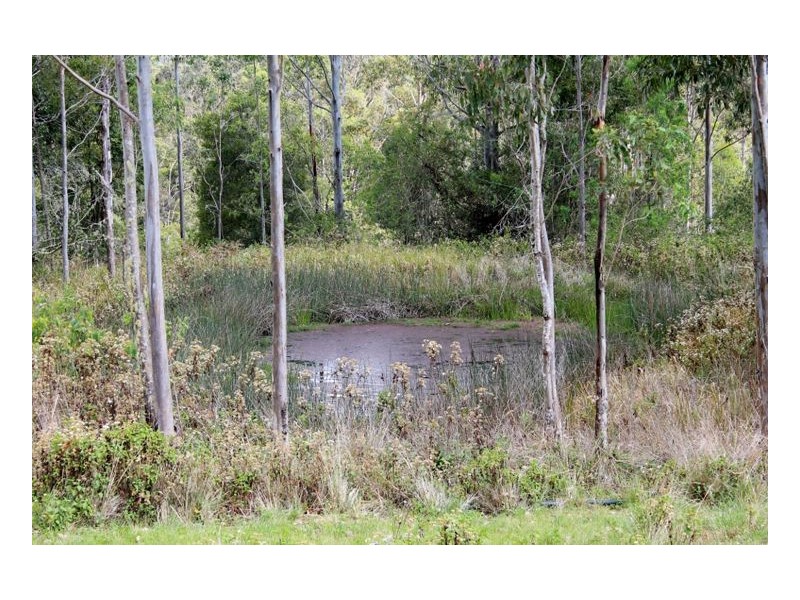 132 Stringybark Lane Toonumbar, Kyogle NSW 2474